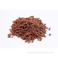 /msite/products/detail/productid/57665325/id/676485.html